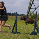 Agility 105612 026