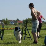 Agility 151512 012